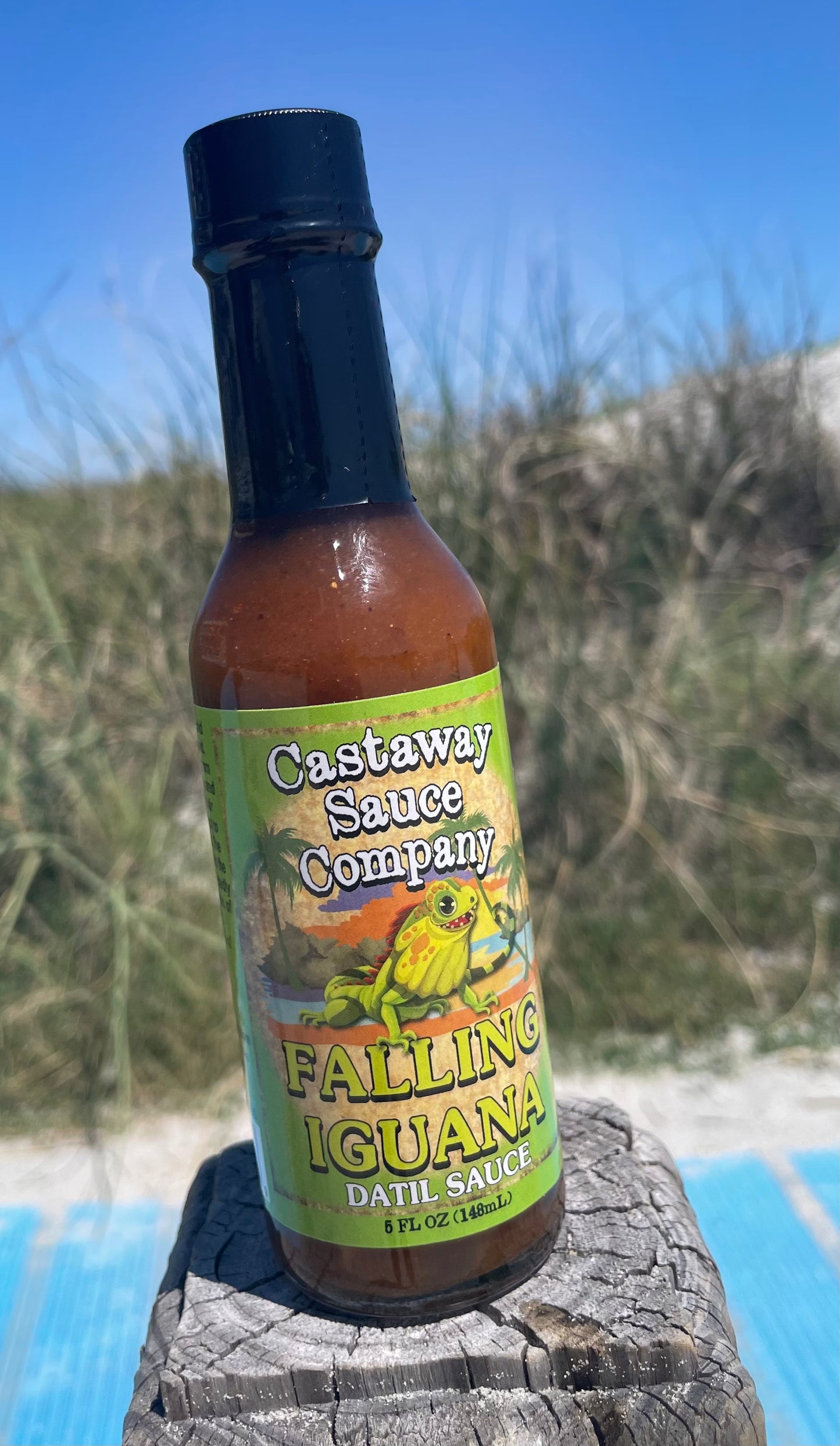 Falling Iguana case