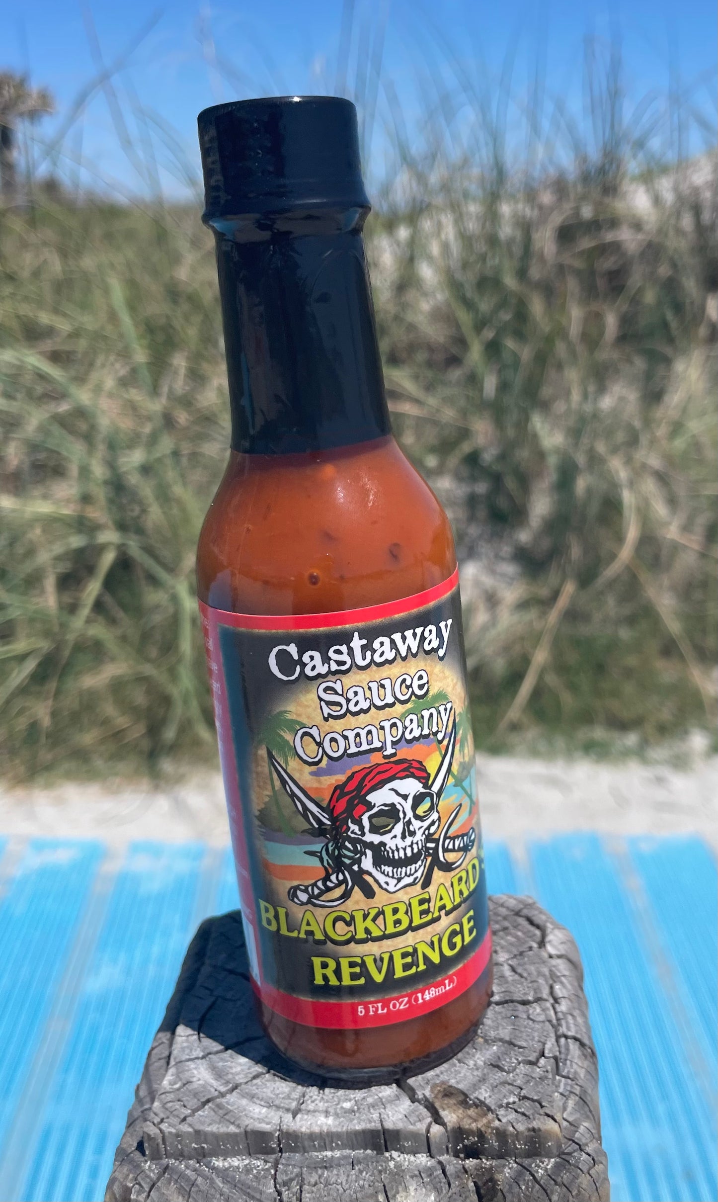 Blackbeard's Revenge case