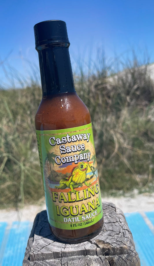 Falling Iguana case
