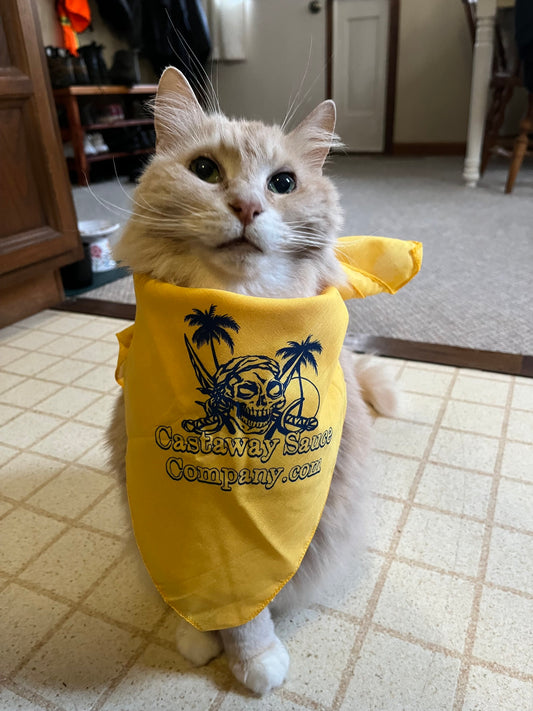 Bandanna
